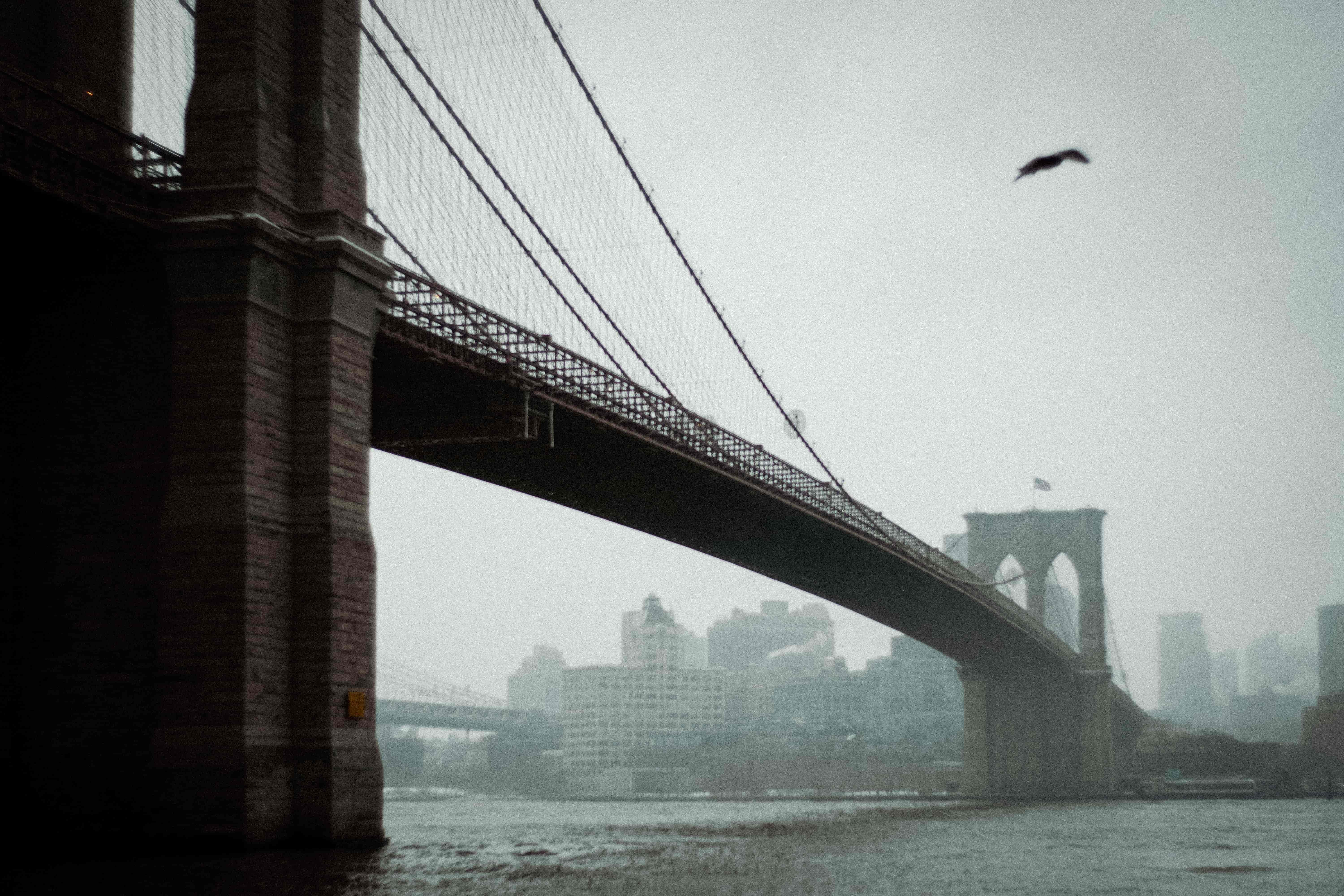 Photography by Yuan Liu